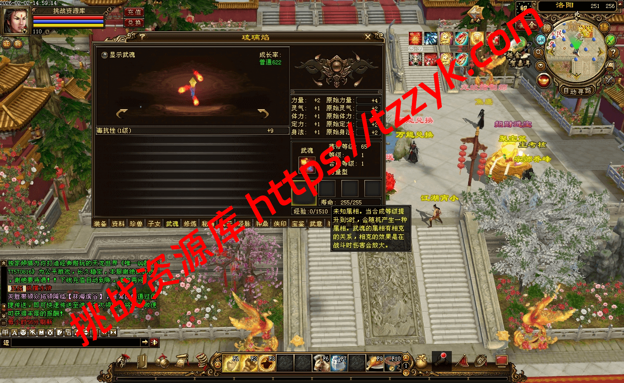 20260202074235034315